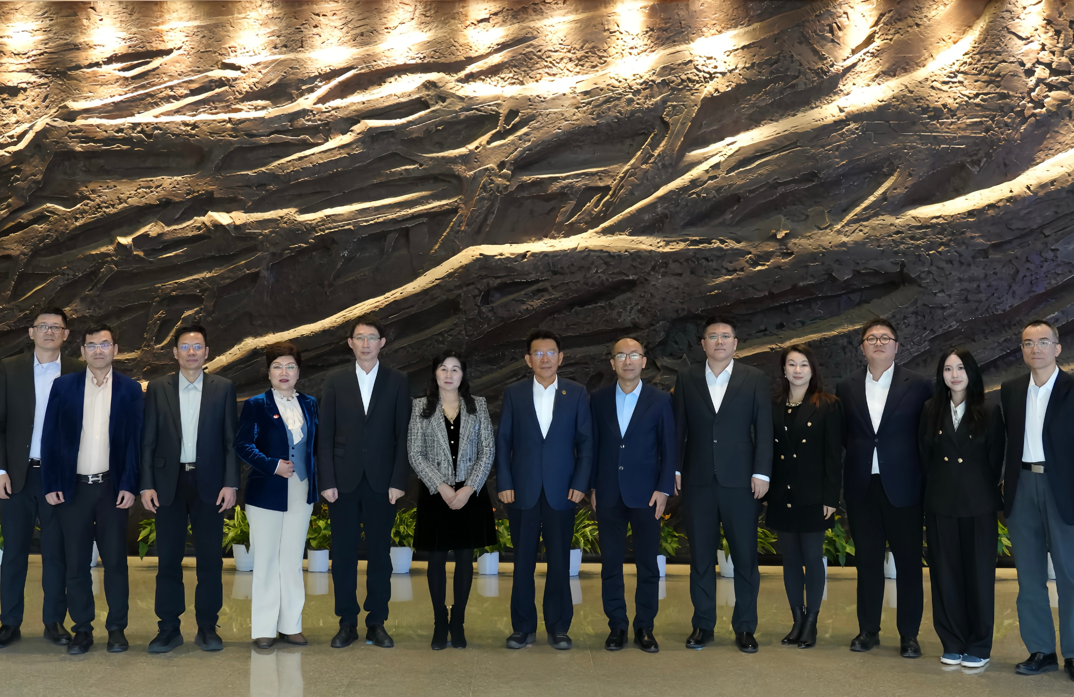 王靈桂會見加拿大中華總商會訪問團