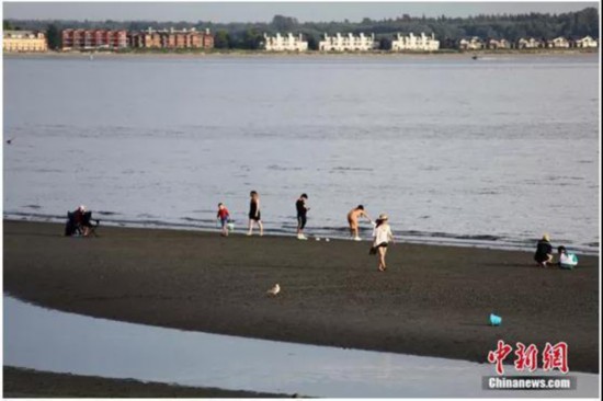 資料圖:加拿大溫哥華地區白石鎮海灘 <a target='_blank' data-cke-saved- ><p align=